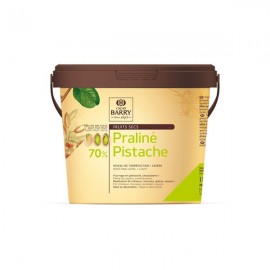 Cacao Barry Cacao Barry Sweetened Pistachio Praline Paste 1 kg PRO-PI701BY-19A 